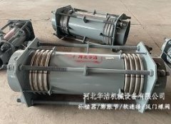 成都大拉杆横向波纹补偿器(DLB)的图片