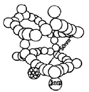 һͼ˽