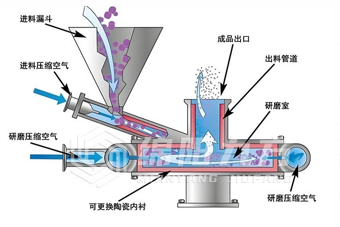 微信截圖_20250627101004.png