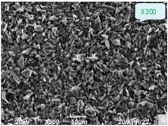 人造石墨 G1的图片