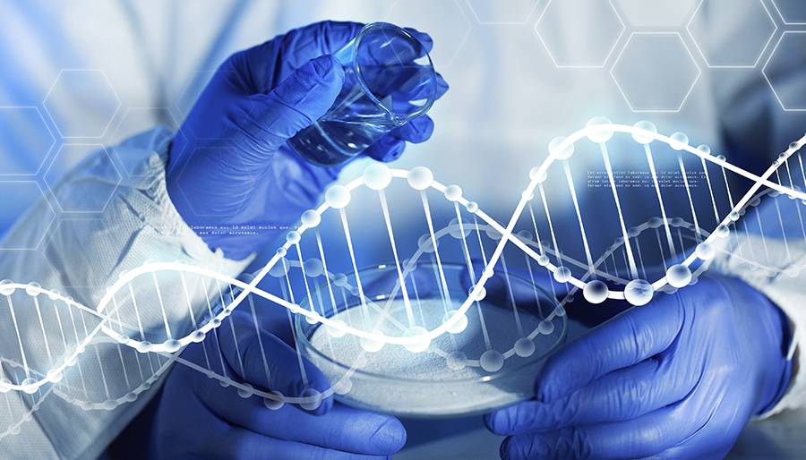 NatureXAS 1500 X射线精细结构吸收谱仪(图5)