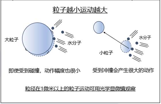 粒径测量方法.png