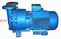 真空泵:SKA系列水环式真空泵的图片