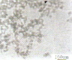 纳米二氧化锆ZRO2的图片