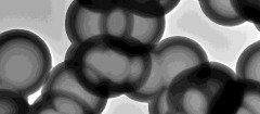 纳米空心碳球及实心碳球改性产品JCHCS-99-550 的图片