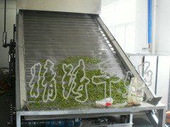 DWC系列脱水蔬菜带式干燥机的图片