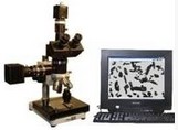 數碼攝影金相顯微鏡